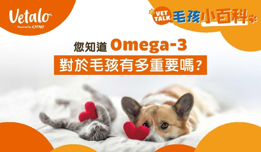您知道Omega-3對於毛孩們有多重要嗎?!