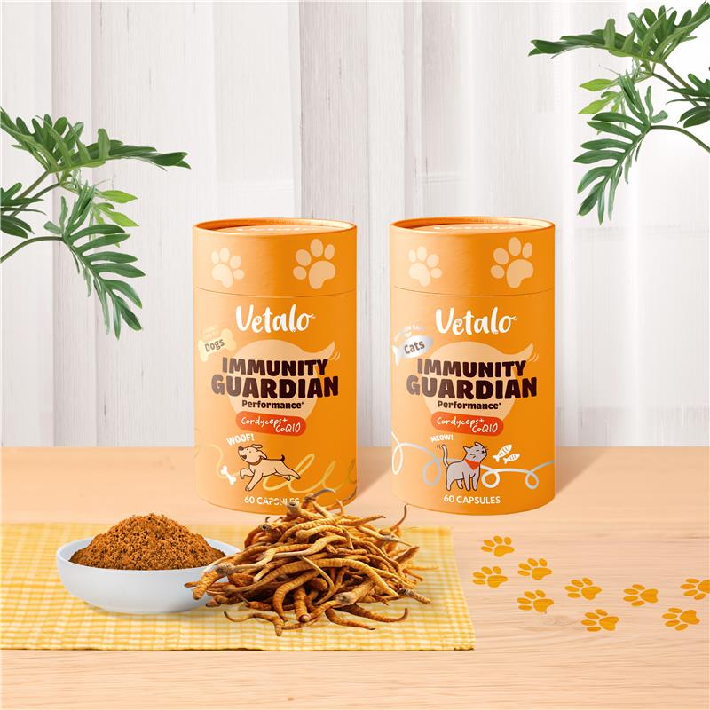 Immunity Guardian (Performance+) 蟲草CS-4免疫配方 (高效成分)
Cordyceps
CS4
蟲草
雙效能 ‧ 高濃度 ‧ 高安全性
Dual Effectiveness ‧ High Concentration ‧ Safety
改善咳喘及呼吸系統問題
提升免疫力 增強抗病能力
改善過敏體質 抑制過敏反應 
補腎防衰 紓緩症狀
加速病/術後復原
維護心血管健康 提升心肌機能
寵物健康
寵物免疫補充品
寵物營養
蟲草對寵物的好處
如何使用蟲草提升寵物免疫力
蟲草CS-4的功效
寵物免疫力提升產品推薦
蟲草補充品的使用方法
調理咳喘