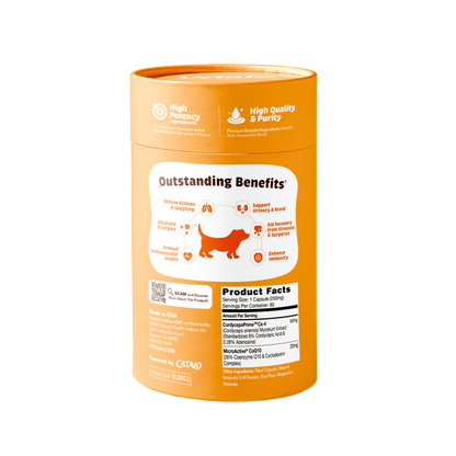 Immunity Guardian (Performance+) 蟲草CS-4免疫配方 (高效成分)
Cordyceps
CS4
蟲草
雙效能 ‧ 高濃度 ‧ 高安全性
Dual Effectiveness ‧ High Concentration ‧ Safety
改善咳喘及呼吸系統問題
提升免疫力 增強抗病能力
改善過敏體質 抑制過敏反應 
補腎防衰 紓緩症狀
加速病/術後復原
維護心血管健康 提升心肌機能
寵物健康
寵物免疫補充品
寵物營養
蟲草對寵物的好處
如何使用蟲草提升寵物免疫力
蟲草CS-4的功效
寵物免疫力提升產品推薦
蟲草補充品的使用方法
調理咳喘