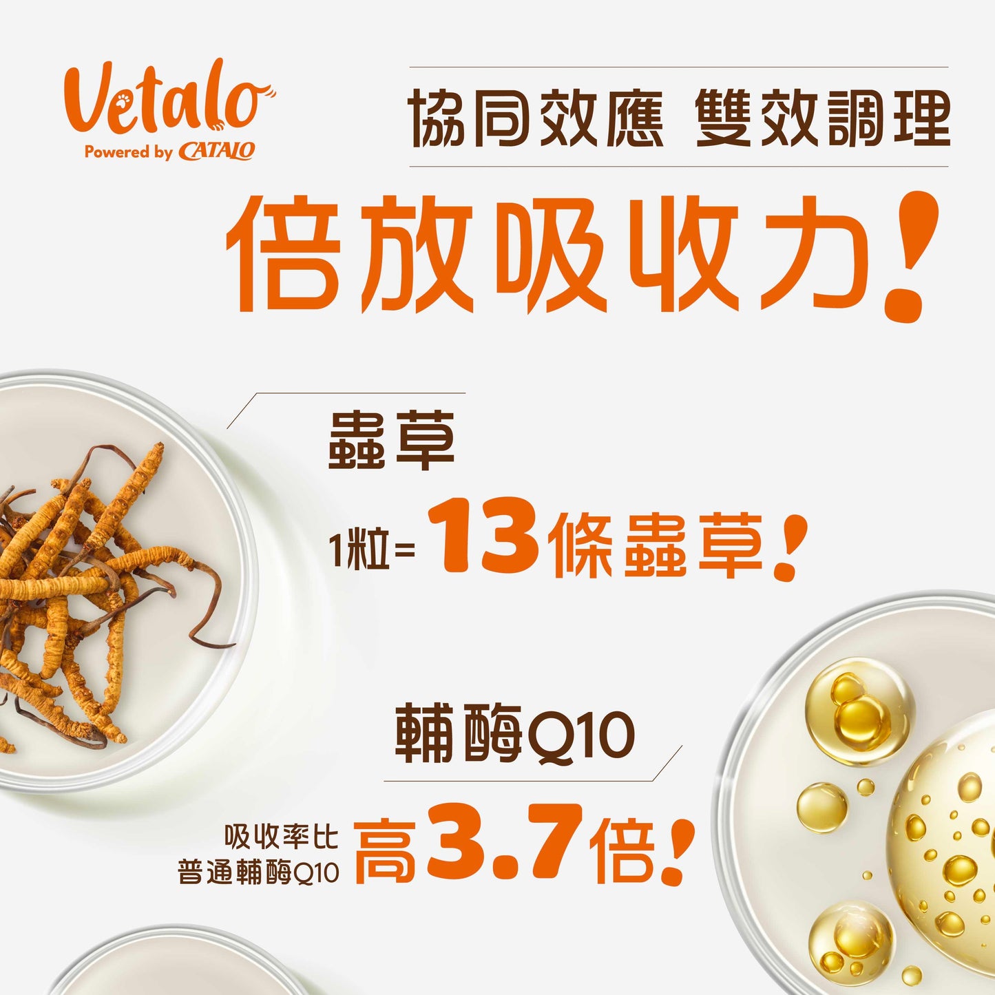 Immunity Guardian (Performance+) 蟲草CS-4免疫配方  (高效成分)