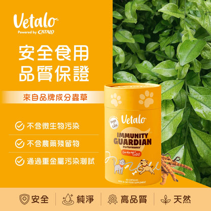 Immunity Guardian (Performance+) 蟲草CS-4免疫配方  (高效成分)