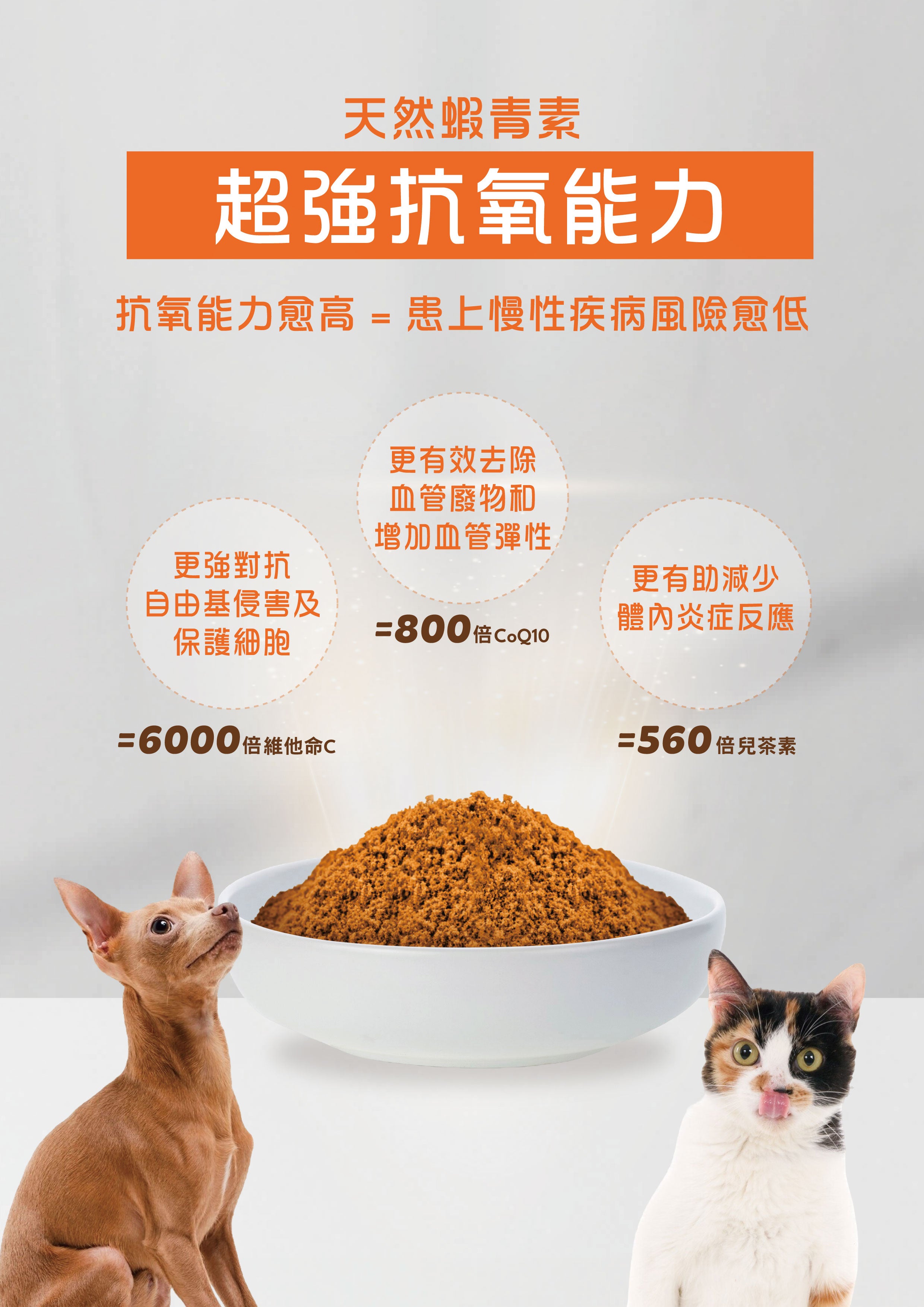 Vetalo磷蝦粉富含天然蝦青素Astaxanthin超強抗氧化能力：抗氧能力愈高貓狗患上慢性疾病風險愈低。蝦青素抗氧化等於6000倍維他命C更強對抗自由基侵害保護細胞、等於800倍輔酶CoQ10更有效去除血管廢物增加血管彈性促進血液循環、等於560倍兒茶素更有助減少體內炎症反應降低發炎。富含Omega-3 EPA，適合香港老貓老狗抗衰老關節炎心血管保健