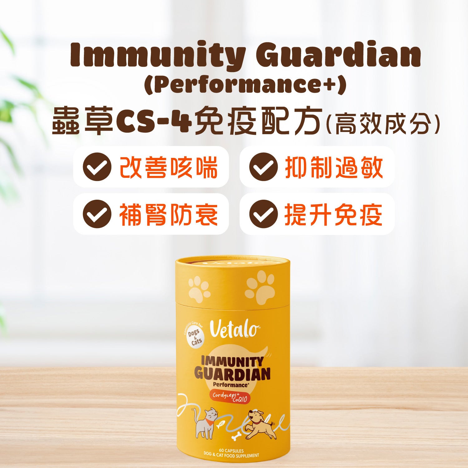  Vetalo Immunity Guardian寵物蟲草CS-4免疫配方產品展示，支持狗貓呼吸道健康、過敏防護、腎臟保健及日常免疫力維持。