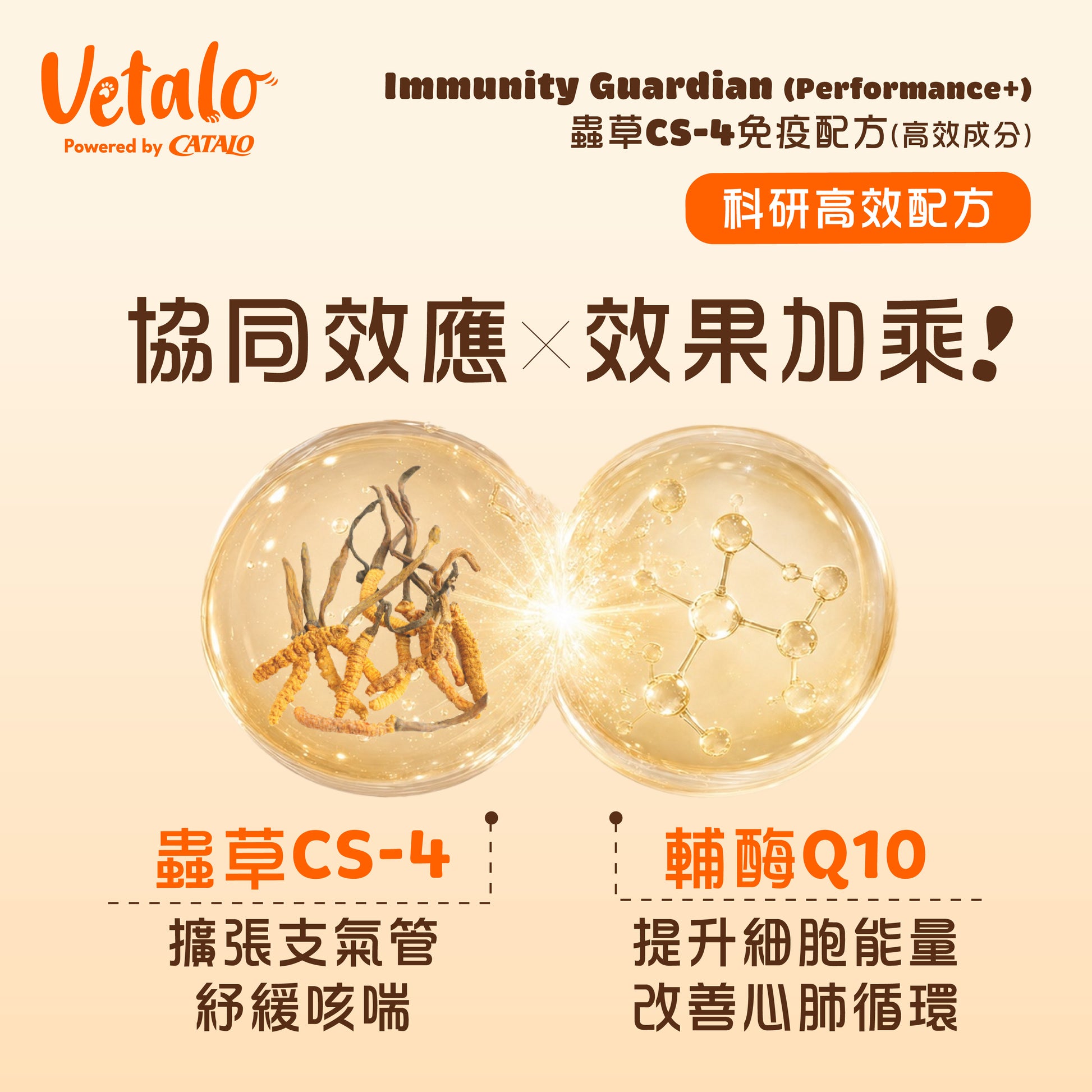 Vetalo Immunity Guardian寵物蟲草CS-4免疫配方結合輔酶Q10，支持狗貓呼吸道健康、細胞能量及心肺循環保健。