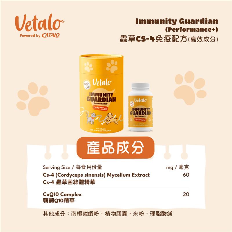 Vetalo Immunity Guardian蟲草CS-4狗貓免疫配方成分展示，含60毫克蟲草菌絲體萃取及20毫克輔酶Q10，支持寵物日常免疫保健與活力。