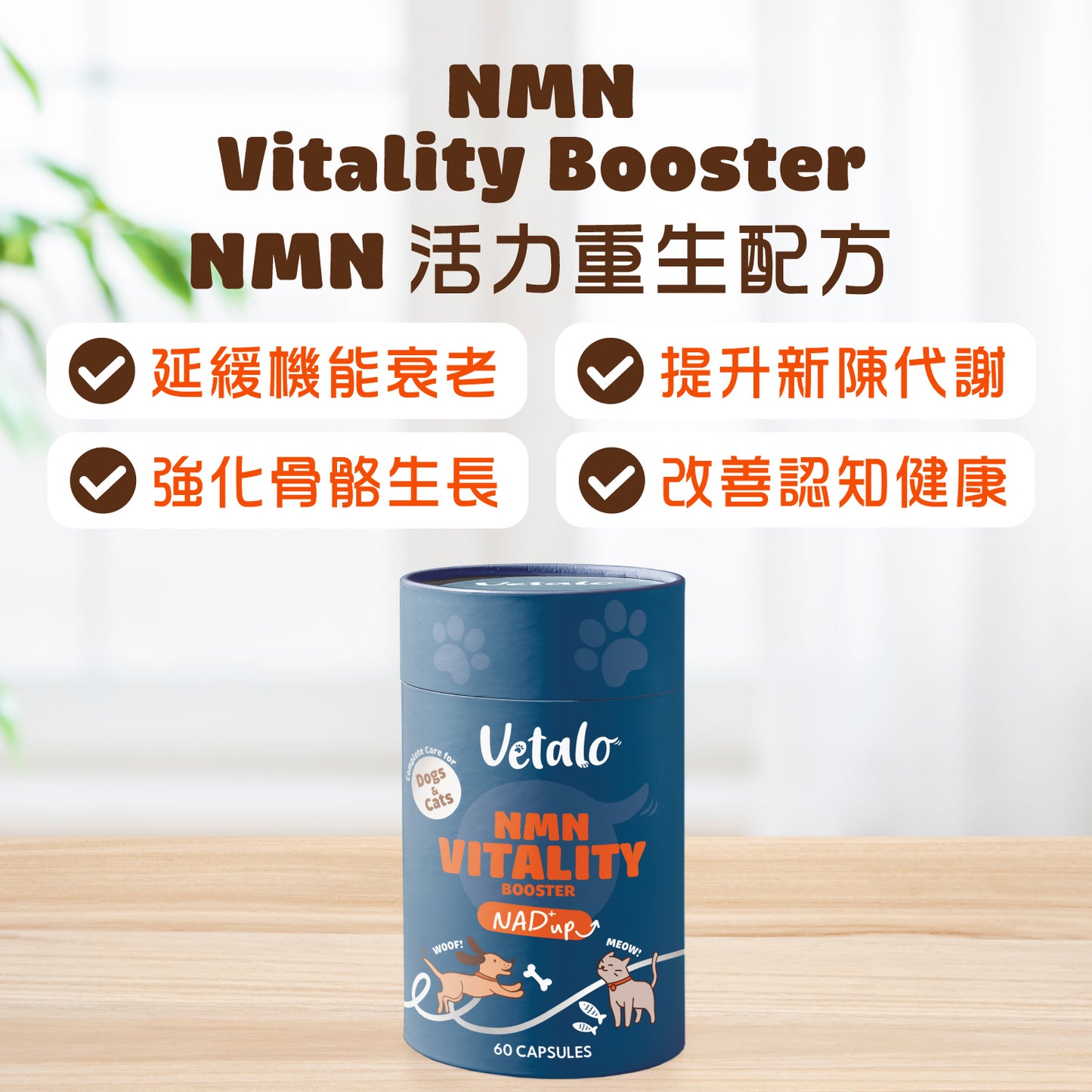 Vetalo NMN Vitality Booster寵物NMN活力重生配方產品展示，支持狗貓活力、新陳代謝、骨骼健康及認知健康的日常營養補充。