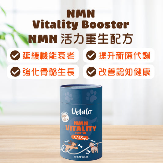 Vetalo NMN Vitality Booster寵物NMN活力重生配方產品展示，支持狗貓活力、新陳代謝、骨骼健康及認知健康的日常營養補充。