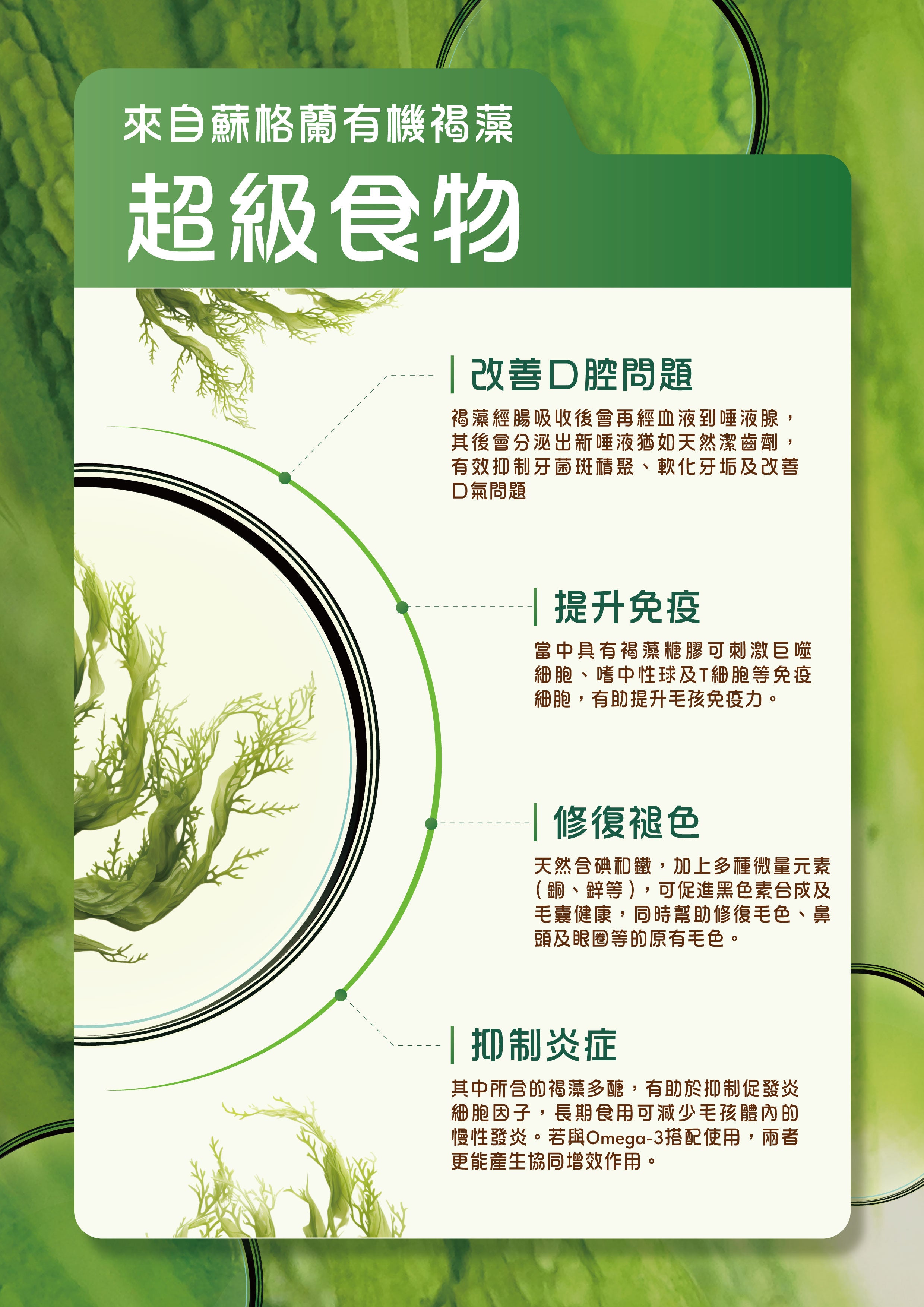 Vetalo蘇格蘭有機褐藻超級食物：改善口腔問題抑制牙菌斑、提升免疫刺激巨噬細胞、修復褪色促進黑色素合成恢復毛色、抑制炎症減少慢性發炎。富含碘鐵礦物質藻褐多酚，適合香港貓狗營養補充