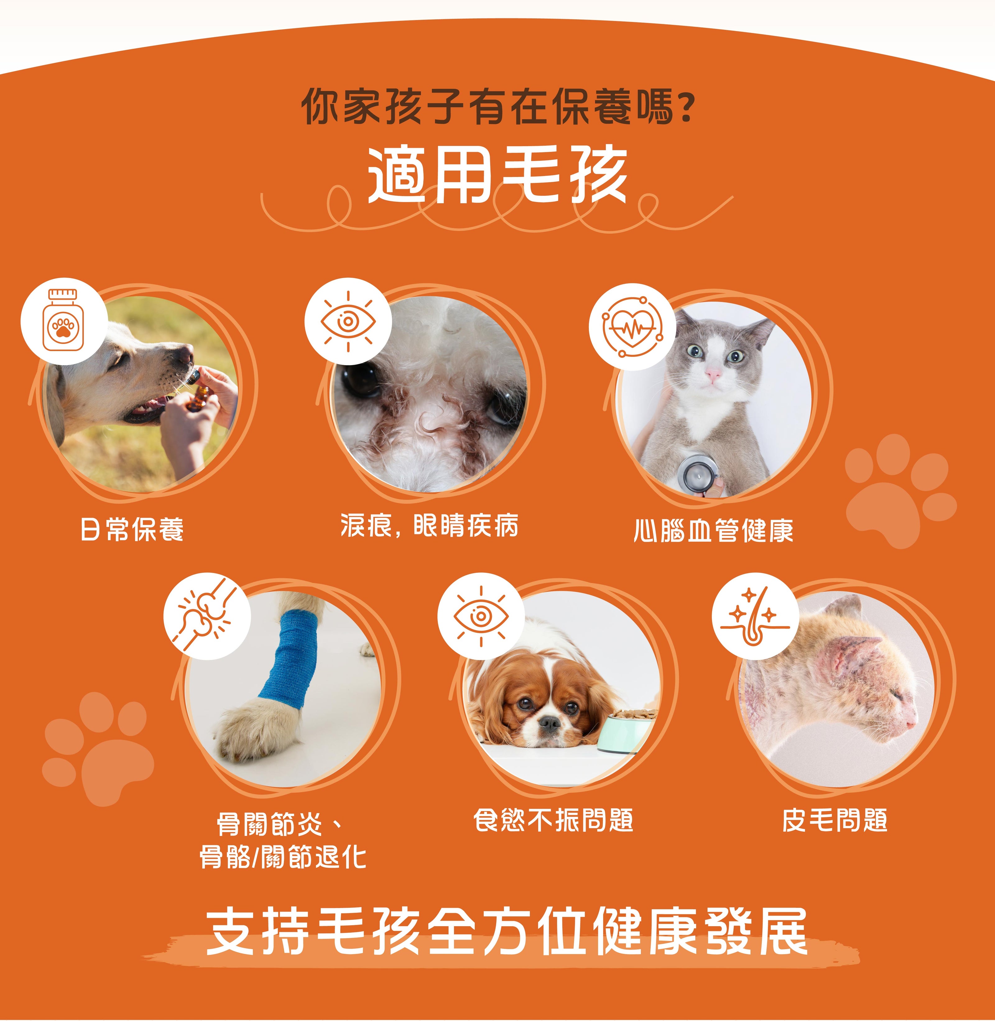 VETALO Ultra Pet Max磷蝦粉適用毛孩六大健康問題：口唇保護改善牙垢牙齦問題、淚痕眼睛疾病延緩眼睛退化、心臟血管健康促進血液循環、骨關節炎骨骼關節退化減輕關節疼痛、食慾不振問題提升食慾、皮毛問題改善掉毛乾燥。支持毛孩全方位健康發展，富含Omega-3不飽和脂肪酸EPA DHA蝦青素牛磺酸，適合香港老貓老狗補充營養