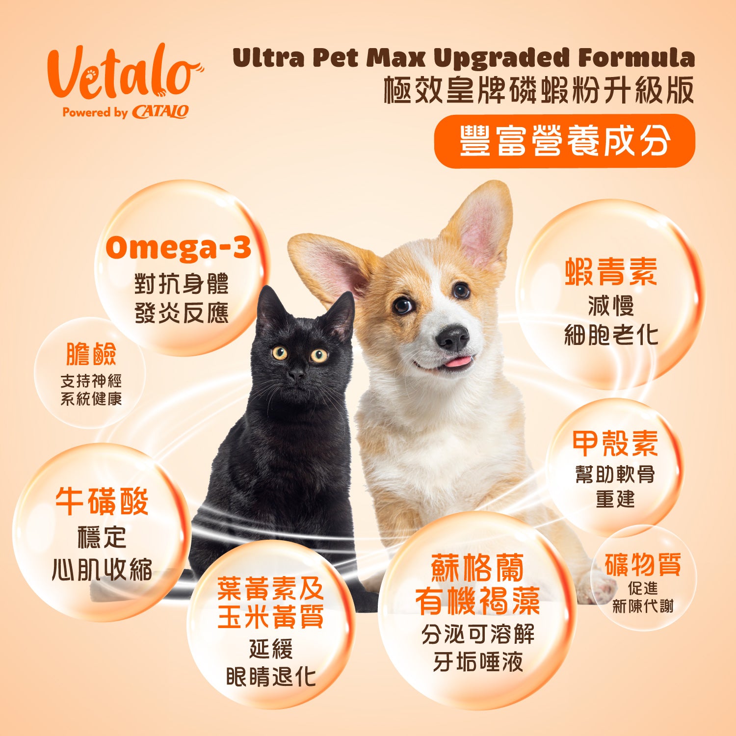Vetalo Ultra Pet Max磷蝦粉升級版營養成分說明：富含Omega-3對抗貓狗身體發炎、膽鹼支持神經系統、牛磺酸保護心血管、蝦青素甲殼素幫助軟骨重建修復關節、蘇胺酸有機複雜分泌溶解牙垢、礦物質促進眼睛代謝。適合香港老貓老狗全方位營養補充